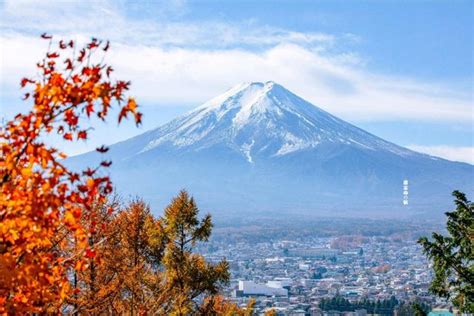 9月去日本哪裡好玩，同時探討秋季櫻花奇景的可能性